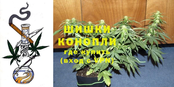 ПСИЛОЦИБИНОВЫЕ ГРИБЫ Богородицк