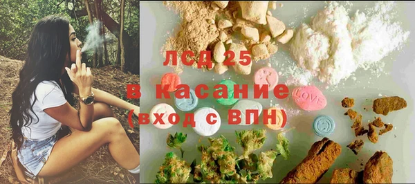 ПСИЛОЦИБИНОВЫЕ ГРИБЫ Богородицк