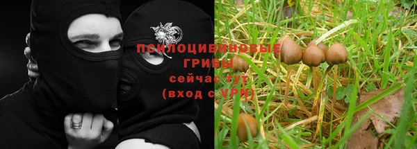 винт Богданович