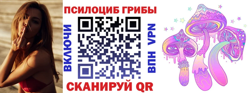Купить закладки  Купино  Псилоцибиновые грибы Cubensis 